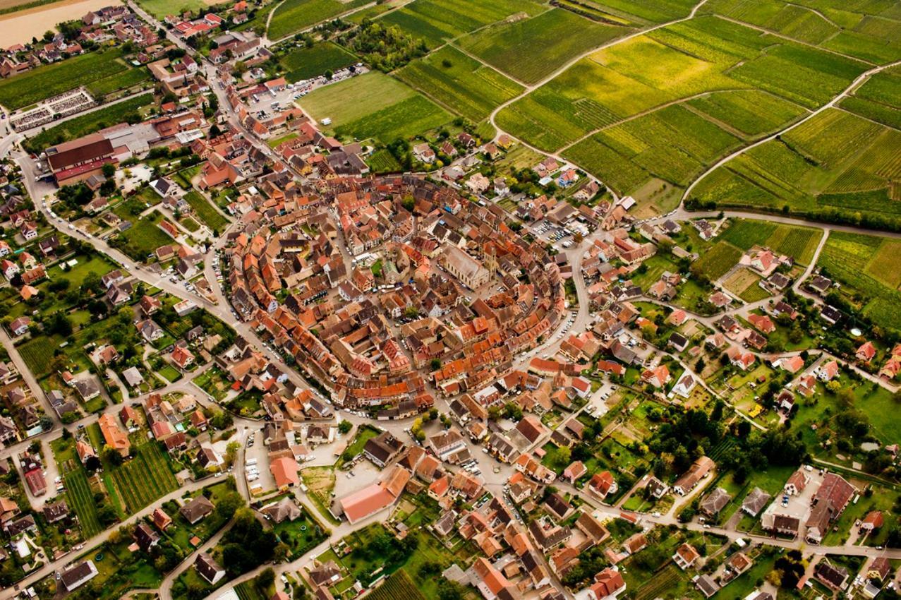 Gite Edelweiss à Eguisheim Exterior foto