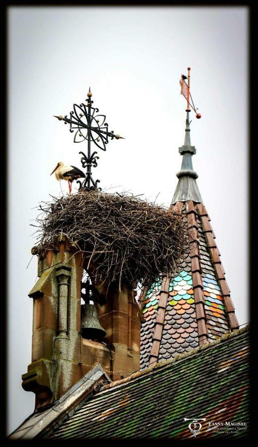 Gite Edelweiss à Eguisheim Exterior foto