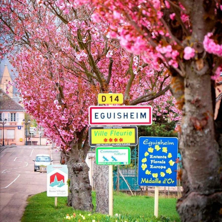 Gite Edelweiss à Eguisheim Exterior foto